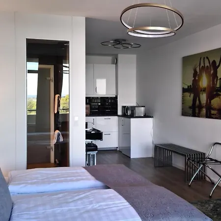 Lägenhetshotell Rheinblick 3*