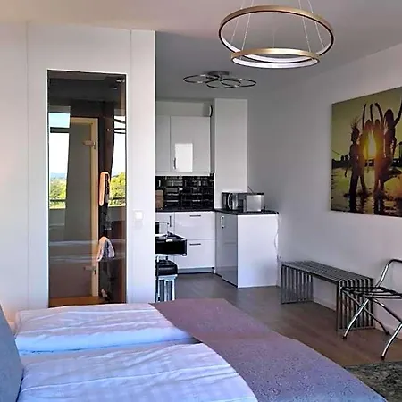 Apart-hotel Rheinblick 4*
