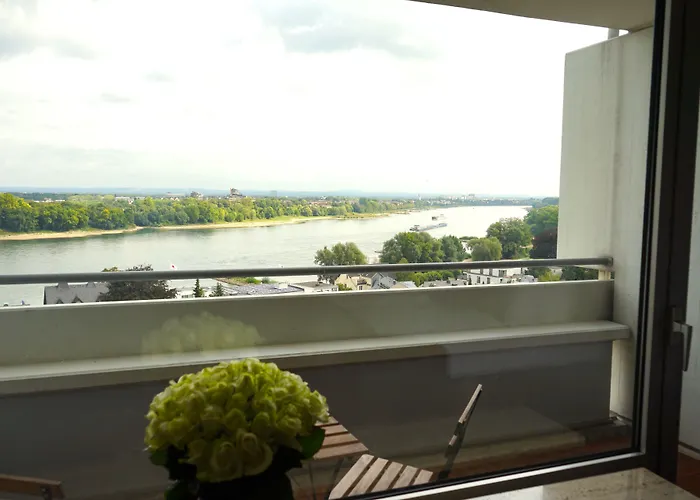 Rheinblick