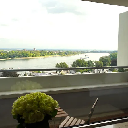 Rheinblick